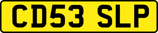 CD53SLP