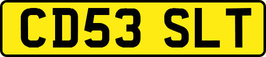 CD53SLT
