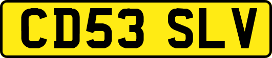 CD53SLV