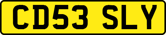 CD53SLY