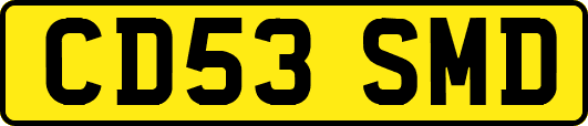 CD53SMD