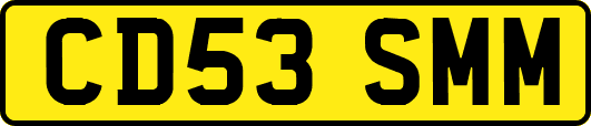 CD53SMM