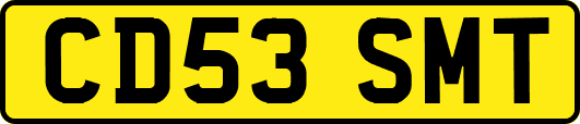 CD53SMT