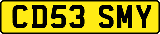 CD53SMY