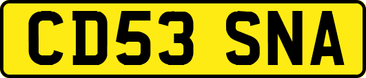 CD53SNA