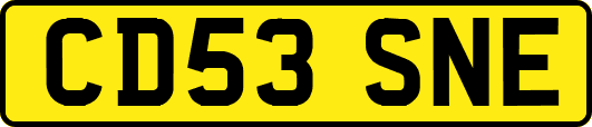 CD53SNE