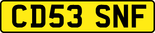 CD53SNF