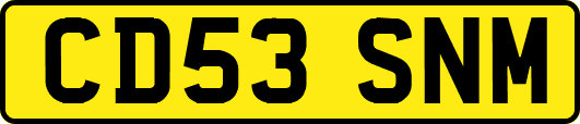 CD53SNM