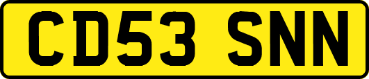 CD53SNN