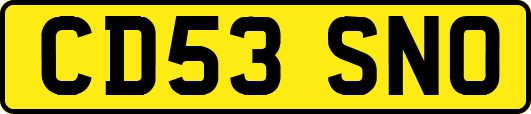 CD53SNO