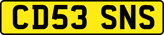 CD53SNS