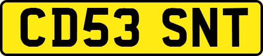 CD53SNT