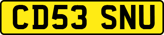 CD53SNU
