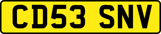 CD53SNV