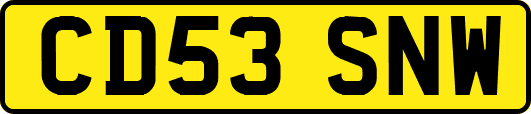 CD53SNW