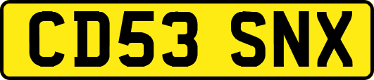 CD53SNX