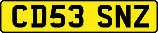 CD53SNZ