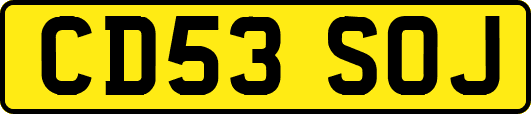 CD53SOJ