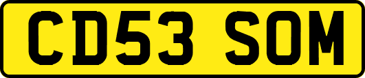 CD53SOM