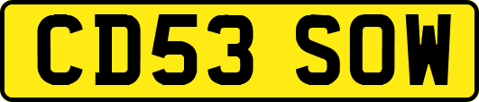 CD53SOW