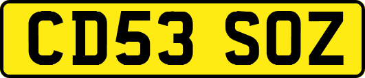 CD53SOZ
