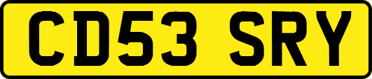 CD53SRY