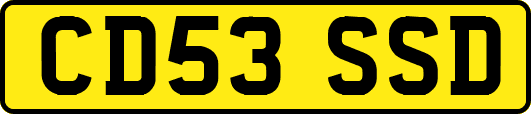 CD53SSD