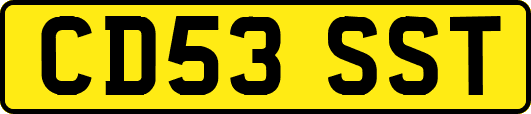 CD53SST