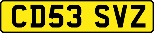 CD53SVZ