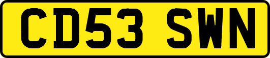 CD53SWN