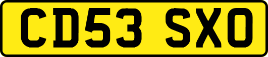 CD53SXO
