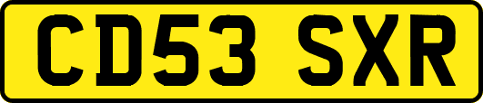 CD53SXR