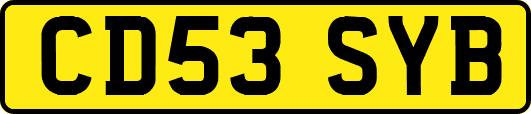 CD53SYB