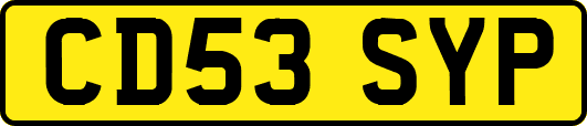 CD53SYP