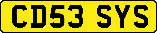 CD53SYS