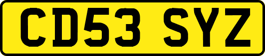 CD53SYZ