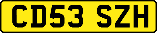 CD53SZH