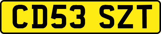 CD53SZT