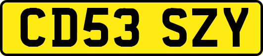 CD53SZY