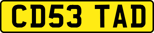 CD53TAD