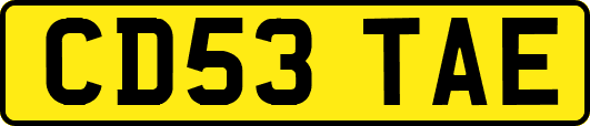 CD53TAE