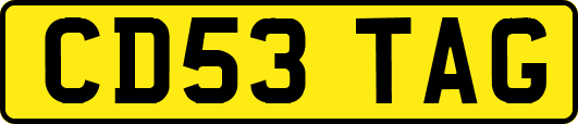 CD53TAG
