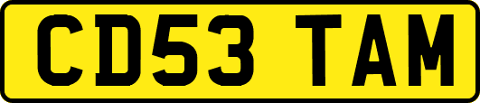 CD53TAM