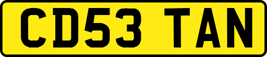 CD53TAN