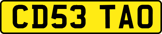 CD53TAO
