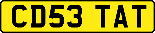 CD53TAT