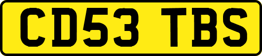 CD53TBS