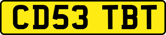 CD53TBT