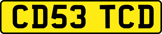 CD53TCD