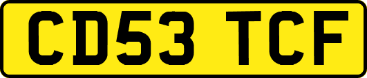 CD53TCF